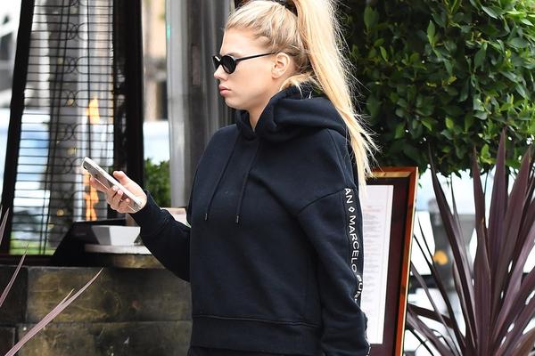 四不像一肖圖王中王，揭秘背后的奧秘與獨特魅力，揭秘四不像一肖圖王中王的奧秘與獨特魅力