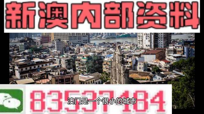 新澳門精準(zhǔn)四肖期準(zhǔn)，探索背后的秘密與策略，澳門精準(zhǔn)四肖期背后的秘密與策略探索