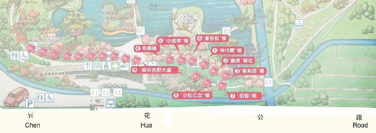 上海辰山植物園一日游攻略,上海辰山植物園一日游全攻略