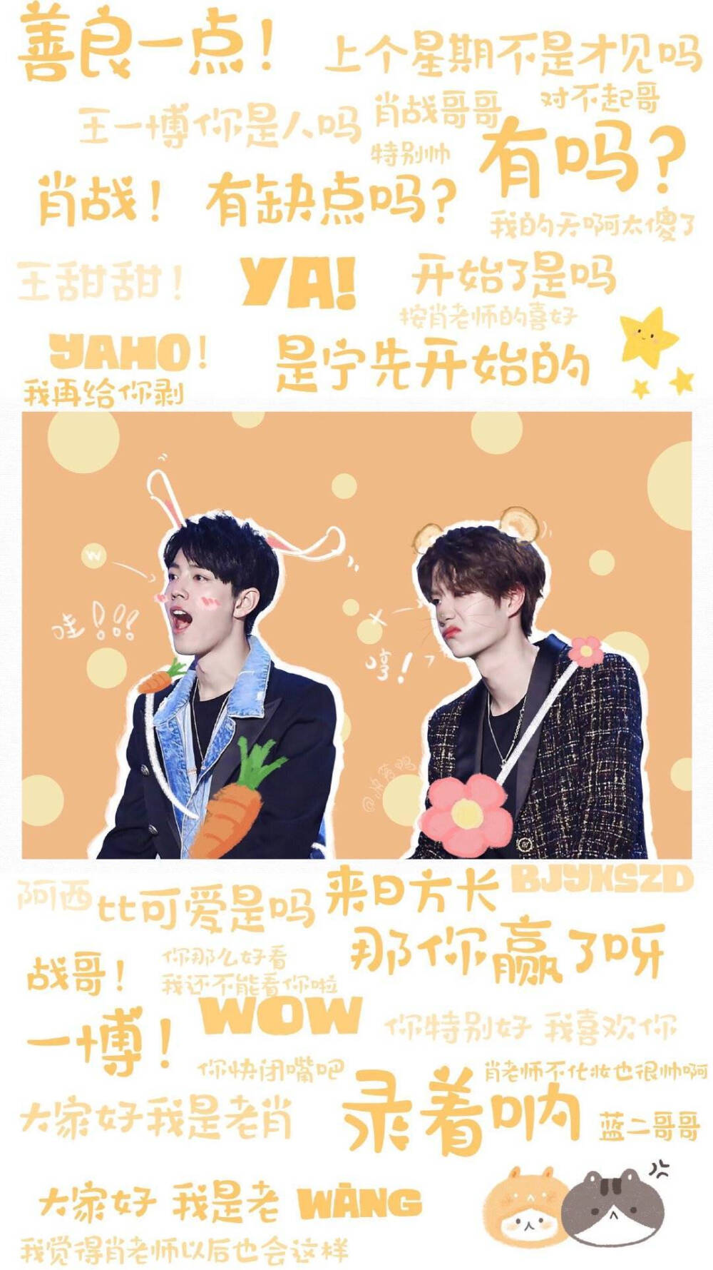 王中王一肖中特期期中，深度解析與探索，王中王一肖中特期期中深度探索與解析報告