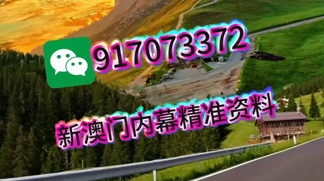 王中王一肖一中特，深度解析與SEO優化策略，王中王一肖一中特深度解析與SEO優化策略探討