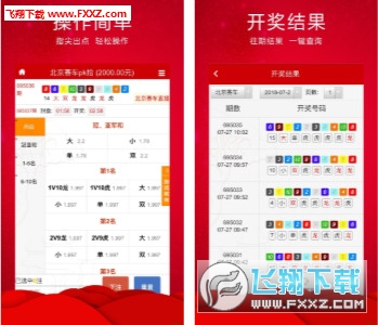 王中王三肖必出一肖，深度解析與探索，王中王三肖必出一肖，深度解析與探索揭秘