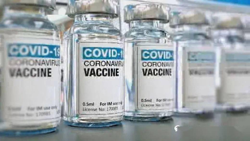 王中王解一肖特,揭秘生肖魅力與獨特之處,揭秘生肖魅力與獨特之處,王中王解讀一肖特