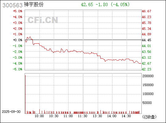 探索300563股吧的獨特魅力與機遇,揭秘300563股吧,獨特魅力與無限機遇