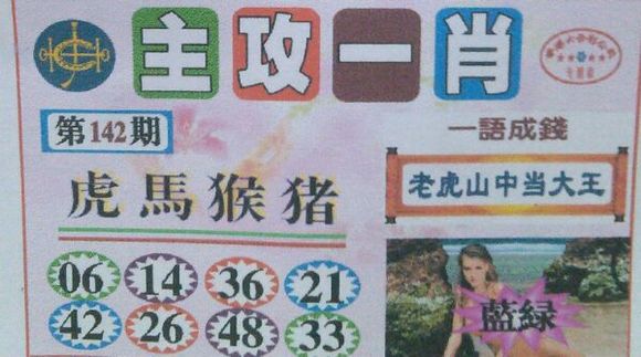 王中王100期期一肖,揭秘與探索,王中王100期期一肖,揭秘神秘面紗下的真相探索