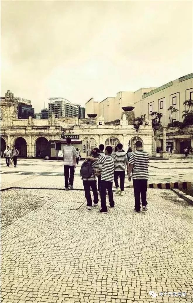 澳門一碼一肖一待一中四不像——揭開神秘面紗下的真相,澳門神秘事件揭秘,一碼一肖一待一中四不像真相探索