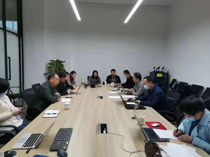 隆平高科股票股，投資潛力與市場前景分析，隆平高科股票投資潛力與市場前景深度解析