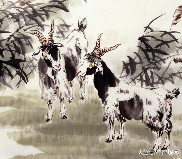 澳門最快開獎六開生肖，揭秘彩票背后的秘密，澳門六開生肖彩票背后的秘密揭曉