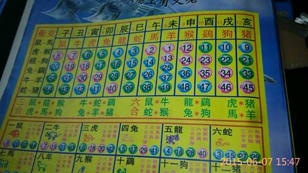 揭秘12生肖開獎記錄，歷史數(shù)據(jù)與趨勢分析，揭秘生肖開獎記錄，歷史數(shù)據(jù)與趨勢深度分析