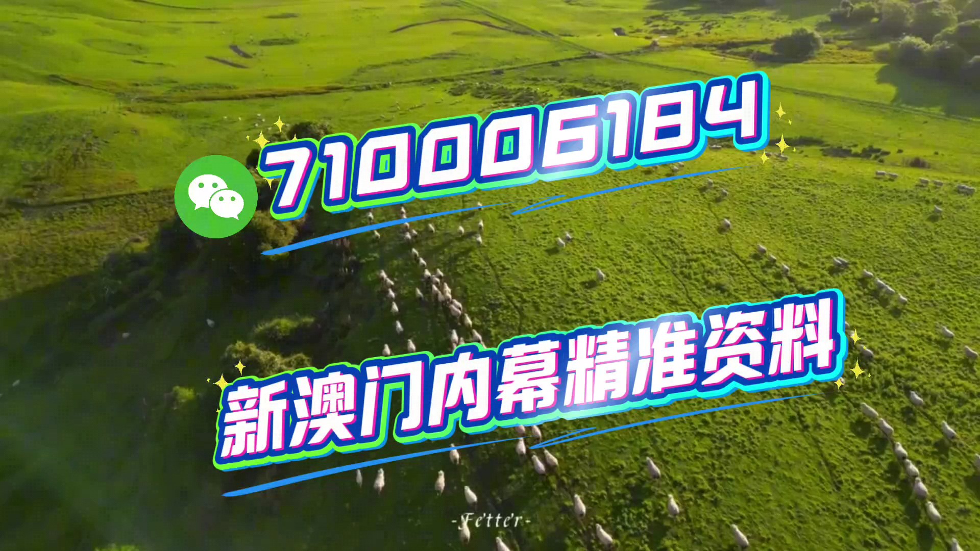 澳門今晚彩票特馬生肖預測,探尋未來的幸運之獸(2025年分析),澳門彩票生肖預測,探尋未來幸運之獸(特馬生肖預測分析)