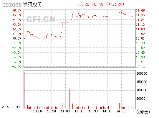 深入了解,關(guān)于股票代碼中的秘密——002068,揭秘股票代碼中的秘密,002068深度解析