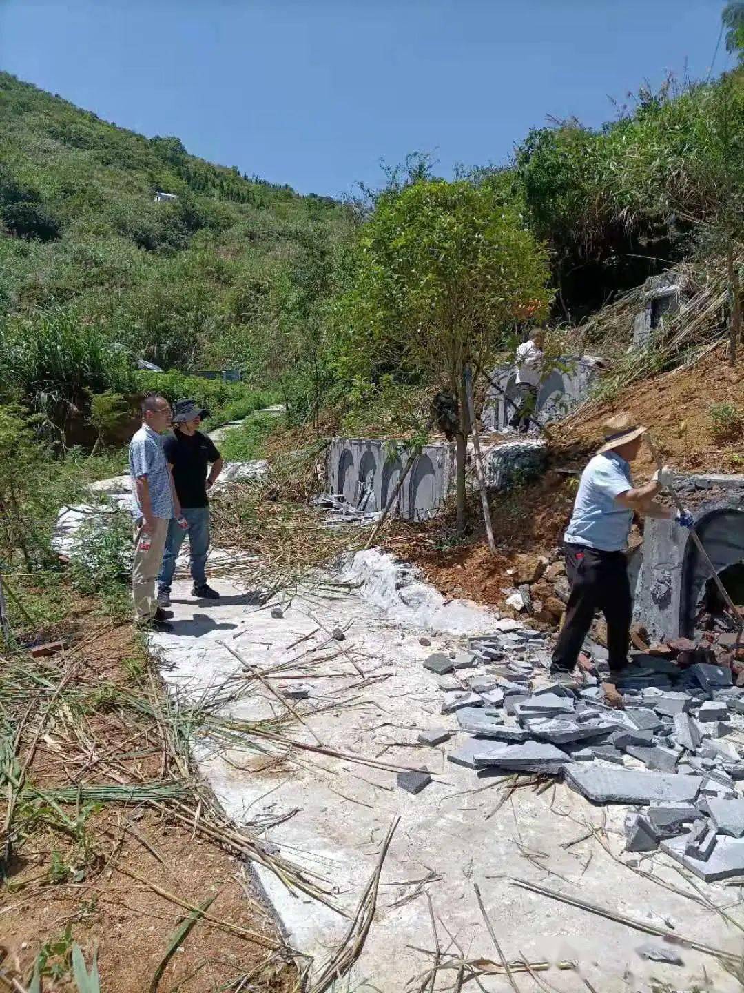 王中王一字一句拆一肖,深度解析背后的奧秘,王中王拆字揭秘,探尋背后奧秘揭曉生肖之謎