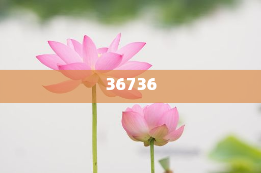 揭秘7777788888精準(zhǔn)新傳真，真相大揭秘，揭秘精準(zhǔn)新傳真背后的真相，77777與88888的神秘面紗被揭開