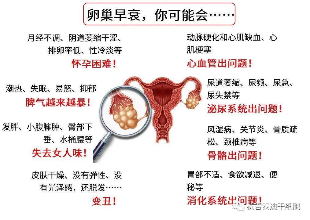 四十歲卵巢早衰能否調(diào)整回來？解讀卵巢早衰與應(yīng)對(duì)策略，四十歲卵巢早衰能否調(diào)整回來？解讀卵巢早衰現(xiàn)象及應(yīng)對(duì)策略
