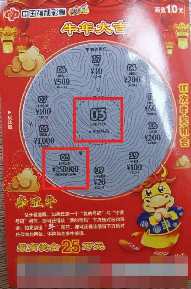 王中王平特一肖結果,深度解析與探索,王中王平特一肖結果深度解析與探索揭秘