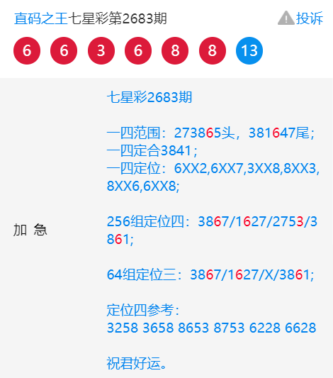 王中王一肖中特4487，揭秘背后的故事與奧秘，揭秘王中王一肖中特4487背后的故事與奧秘