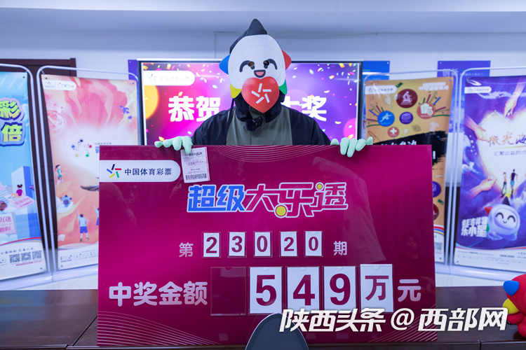 王中王90期指一生肖,揭秘背后的秘密與生肖運(yùn)勢(shì)分析,揭秘王中王90期生肖秘密與運(yùn)勢(shì)分析,生肖背后的秘密與未來展望