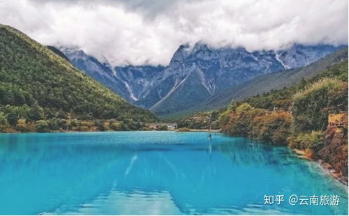 云南跟團游與自由行,哪個更適合你?,云南旅游,跟團游與自由行,哪個更合適?