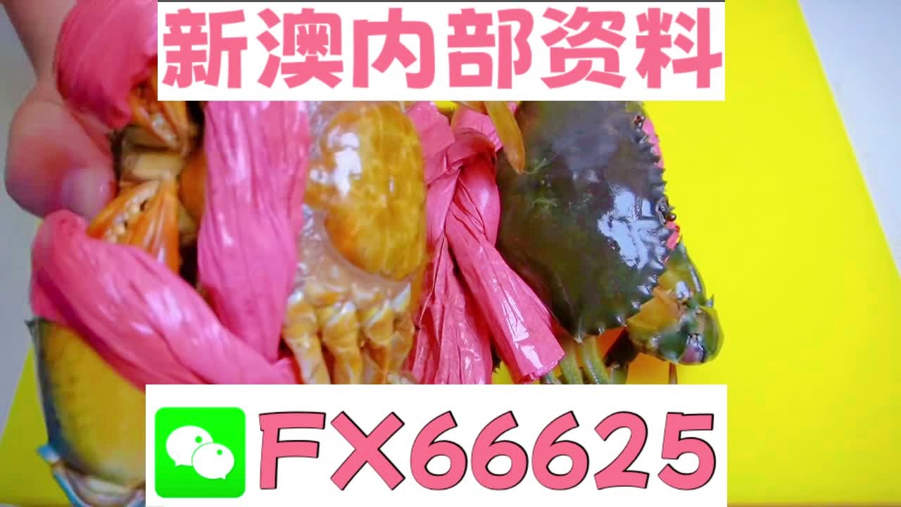 新奧天天精準資料大全,全方位解讀與SEO優化策略,新奧天天精準資料大全,全方位解讀與SEO優化策略指南