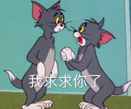 湯姆貓股票股吧，投資熱點與前景展望，湯姆貓股票股吧，投資熱點與未來前景展望