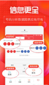 王中王碼會開獎結果一肖，深度解析與預測，王中王碼開獎結果一肖深度解析與預測報告