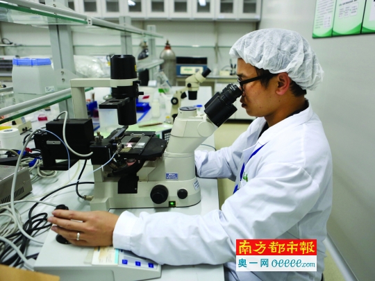 關于結扎的SEO文章,結扎手術詳解,知識、優勢與注意事項