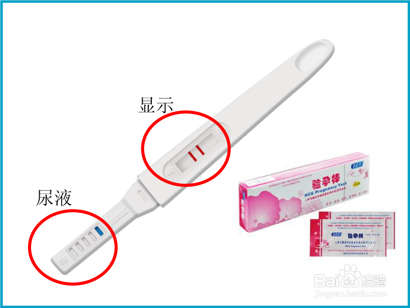 驗孕棒使用方法詳解，準確、高效的自我檢測指南，驗孕棒使用詳解，準確高效的自我檢測指南