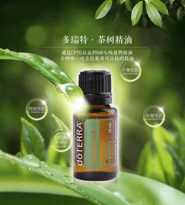 茶樹精油的功效與作用,深入了解茶樹精油的多元價值,茶樹精油多元價值揭秘,功效與作用詳解