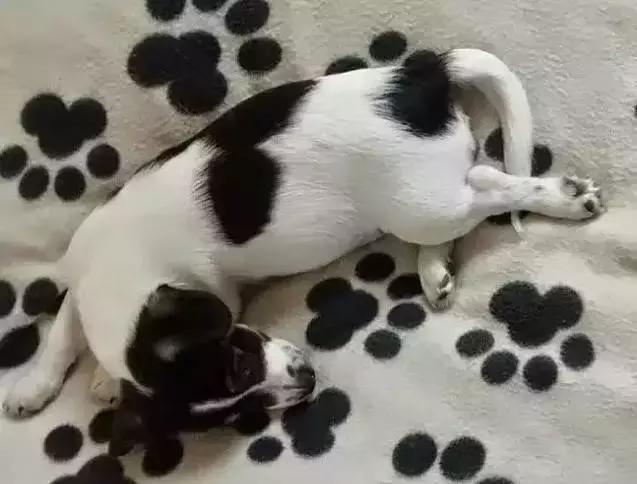 近視眼可以當兵嗎?全面解析近視與軍隊生涯的關聯,近視與軍隊生涯,能否參軍?全面解析關聯之謎。