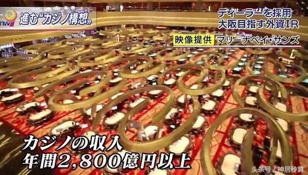 最新解析與實用指南