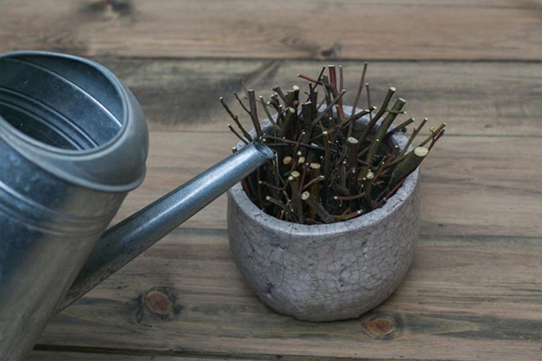 青春痘怎么治，全面解析有效的預防與治療方法，全面解析青春痘預防與治療方法，專業有效的治療策略