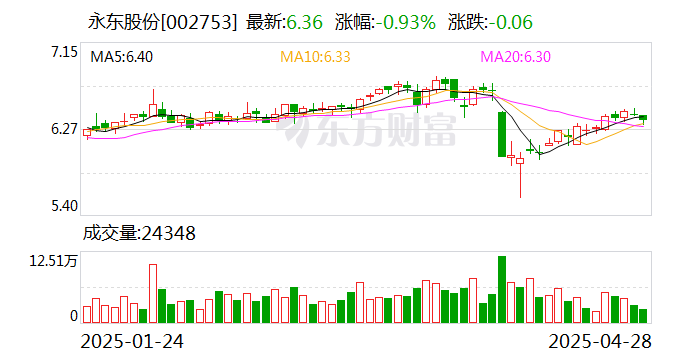 永東股份，引領行業前沿，塑造卓越未來，永東股份，引領行業先鋒，塑造卓越未來之路