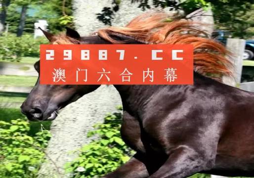 澳門夜明珠八百圖庫開獎最快——探索澳門夜明珠的魅力與最新開獎信息,澳門夜明珠的魅力與最新開獎速遞,八百圖庫開獎信息一覽