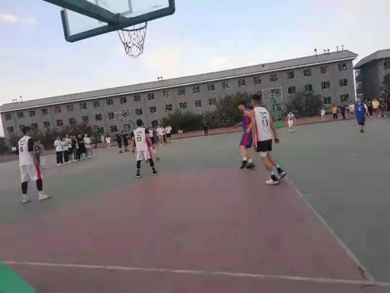 澳門二四六天下彩天天免費大全——全面解析澳門彩票文化，澳門彩票文化全面解析，二四六天下彩免費大全