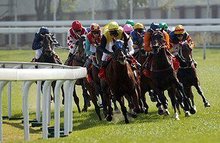 澳門賽馬六月份開獎結果