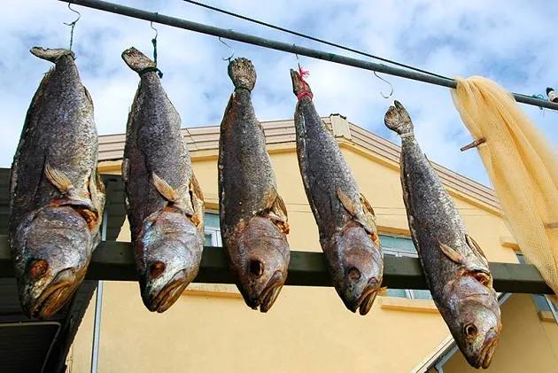 中國一級致癌魚排名及其健康風險分析，中國致癌魚排名及健康風險解析