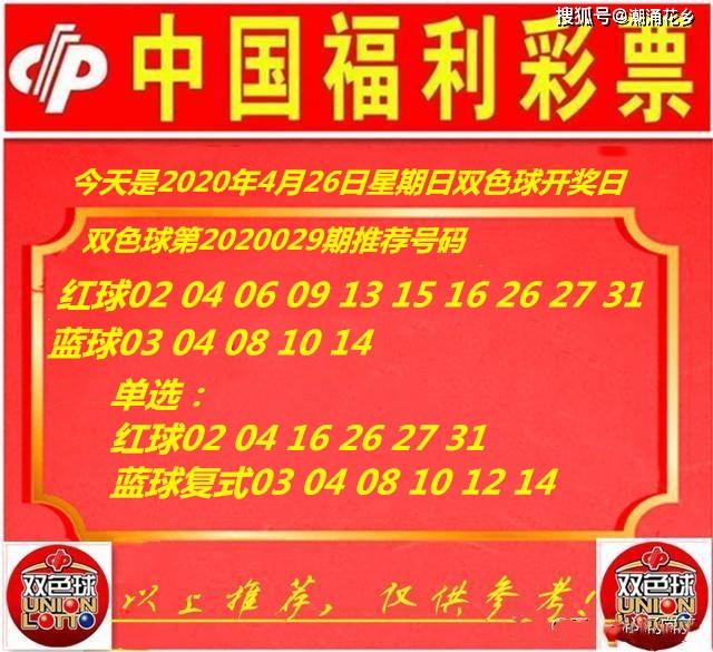 王中王029期指一生肖，揭秘生肖魅力與預測背后的秘密，揭秘生肖魅力與預測背后的秘密，王中王生肖預測第029期揭曉