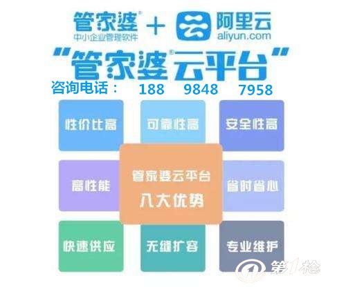 管家婆一肖王中王，揭秘背后的神秘面紗，揭秘管家婆一肖王中王背后的神秘面紗