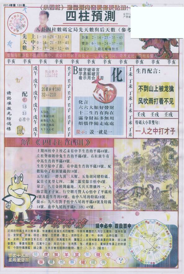 香港王中王找圖看生一肖，揭秘背后的奧秘，揭秘香港王中王找圖看生肖的奧秘
