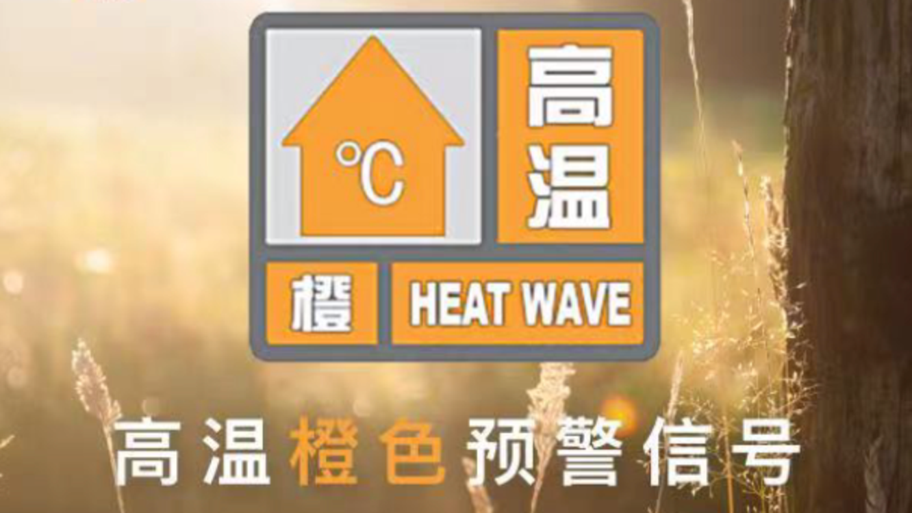 澳i門精準免費資料，探索與揭秘，澳i門精準免費資料揭秘探索之旅