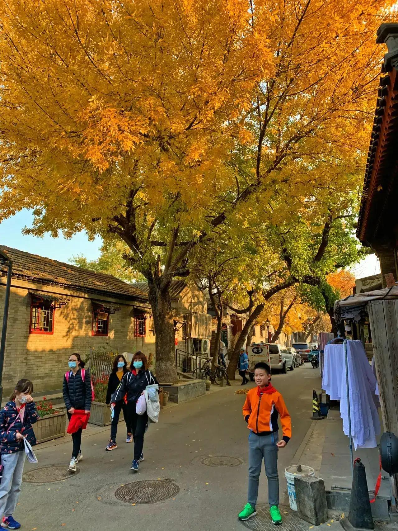 冬天北京一日游最佳景點(diǎn)攻略，北京冬季一日游最佳景點(diǎn)攻略