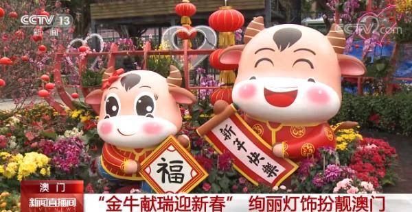 澳門金牛網(wǎng)金牛版論壇——探索與解析，澳門金牛網(wǎng)金牛版論壇，深度探索與解析