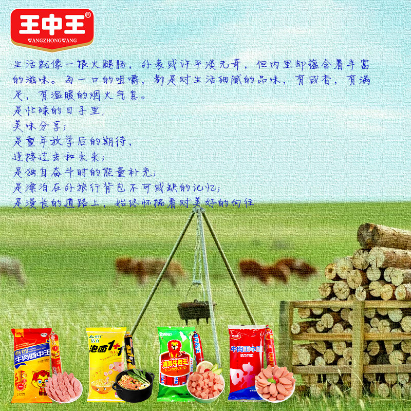 王中王公開一肖中特料,揭秘背后的秘密與策略,王中王公開一肖中特料背后的秘密與策略揭秘