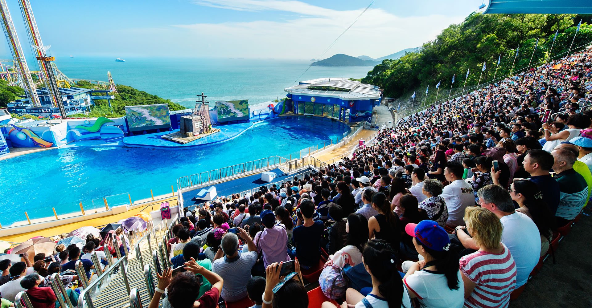 香港海洋公園官方網站，探索海洋魅力的首選之地，香港海洋公園官方網站，探索海洋魅力的首選之地