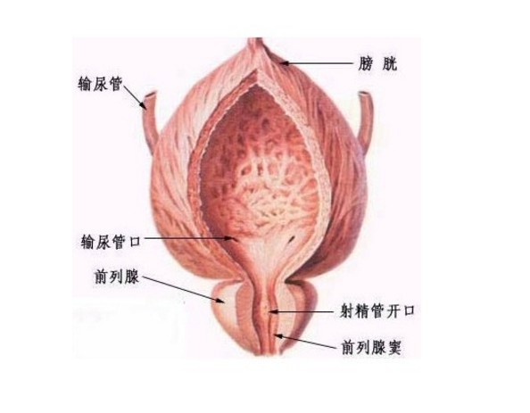 前列腺炎能自愈嗎？解析前列腺炎及其治療方式，解析前列腺炎，能否自愈與有效治療方式探討