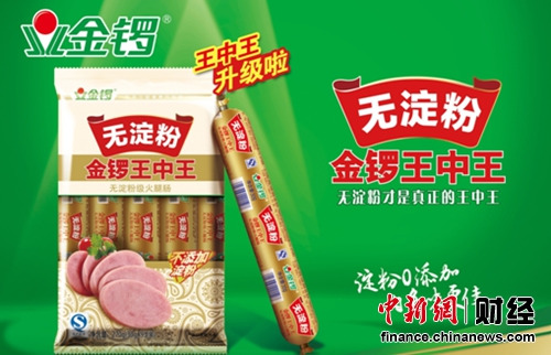 王中王一肖中特別的探索之旅，深度解析其獨特魅力與優勢，王中王一肖的獨特探索之旅，深度解析其魅力與優勢