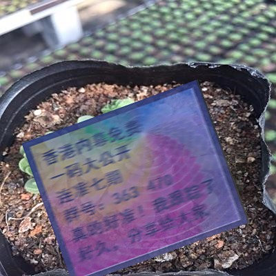 揭秘三肖賠多少錢——全面解析與指南，揭秘三肖賠款金額，全面解析與指南