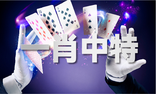 新澳門歷史記錄查詢，探索澳門的歷史軌跡，澳門歷史軌跡探索，新澳門歷史記錄查詢