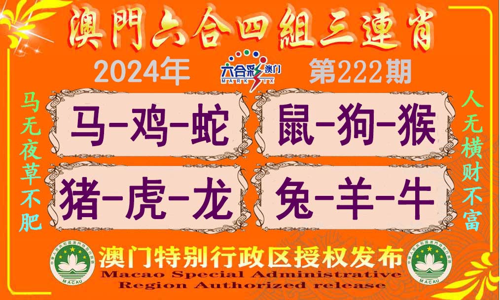 新澳門單雙王，揭秘背后的秘密與策略，揭秘新澳門單雙王背后的秘密與策略之道