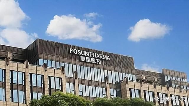 中國十大制藥企業，引領行業發展的佼佼者，中國十大制藥企業，行業翹楚，引領發展之路